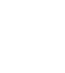 Festive Magic